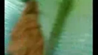মাই এর, মেয়েদের বাংলা চুলা চুদি হস্তমৈথুন